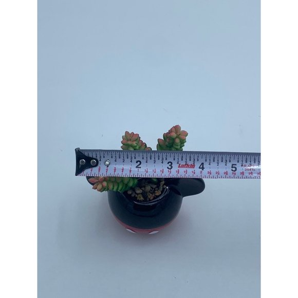 Disney Mickey and Minnie Mouse mini planters with Faux Succulents - Picture 7 of 10